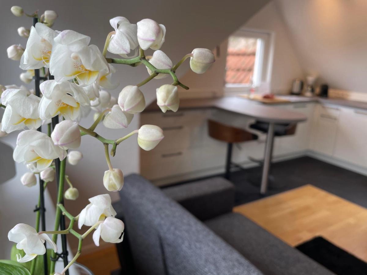 Boutique Ferienwohnungen Mit Gartensauna, Naehe Europapark Und Strassburg "Uebernacht - Am Talbach" Offenburg Zewnętrze zdjęcie