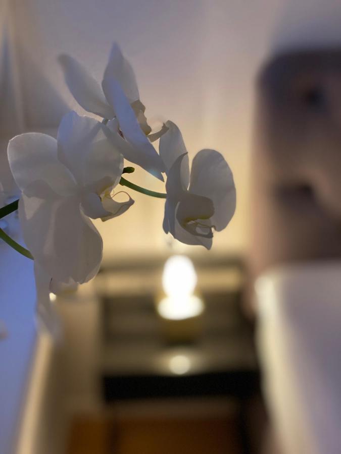 Boutique Ferienwohnungen Mit Gartensauna, Naehe Europapark Und Strassburg "Uebernacht - Am Talbach" Offenburg Zewnętrze zdjęcie