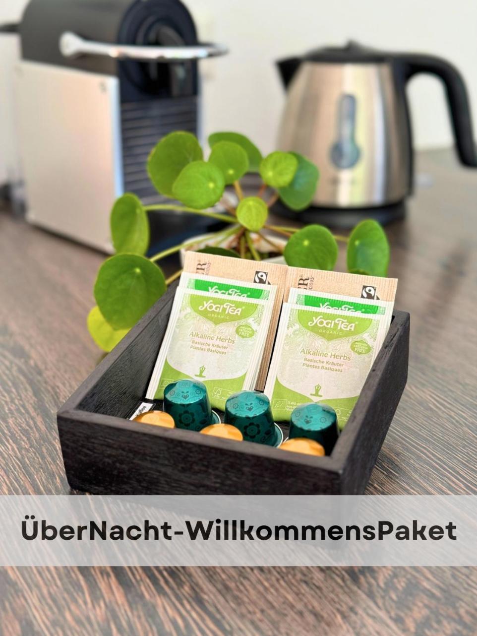 Boutique Ferienwohnungen Mit Gartensauna, Naehe Europapark Und Strassburg "Uebernacht - Am Talbach" Offenburg Zewnętrze zdjęcie